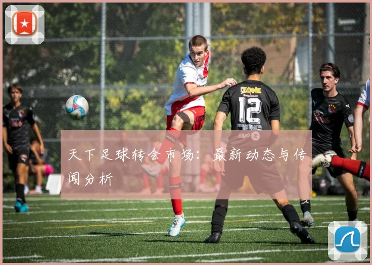 天下足球转会市场：最新动态与传闻分析
